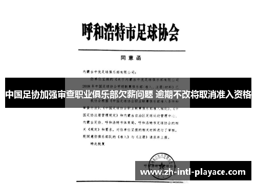 中国足协加强审查职业俱乐部欠薪问题 逾期不改将取消准入资格
